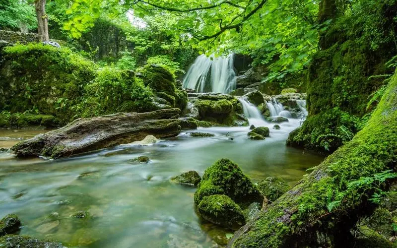高性能绿色